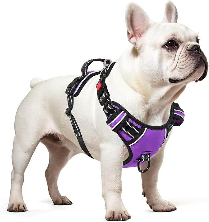 Timos Dog Harness Small Sized, No Pull with Neck Lockable Snap,No Choke Front Clip Dog Reflective Harness,Adjustable Metal Rings 3 Buckles,Easy Control Handle for Small Dogs Purple XS
