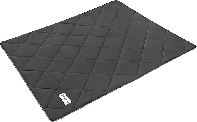 PetAmi Premium Cooling Dog Blanket | Lightweight Fluffy Pet Throw Blanket Bed Cover for Dogs, Cat, Puppies | Pet Blanket Furniture Protector Couch Sofa | Reversible Fuzzy Cozy | 24x32, Grey