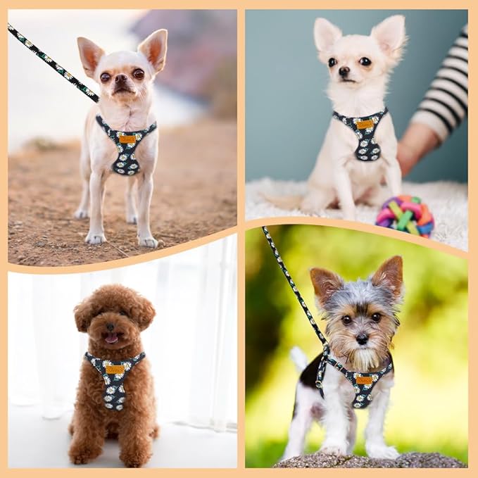 SlowTon No Pull Dog Harness with Leash - Soft Lightweight Floral Pattern Puppy Harness, Adjustable Pet Harness for Small Medium Dogs (Black Daisy XXS)