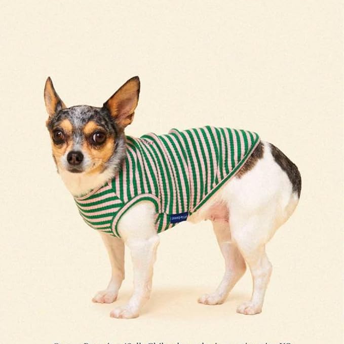 Little Beast Dog Clothes - Pet Clothes for Large, Medium, and Small Dogs (Dog Shirts Come in Multiple Colors and Styles) - Size: XX-Large Dogs, Multicolor