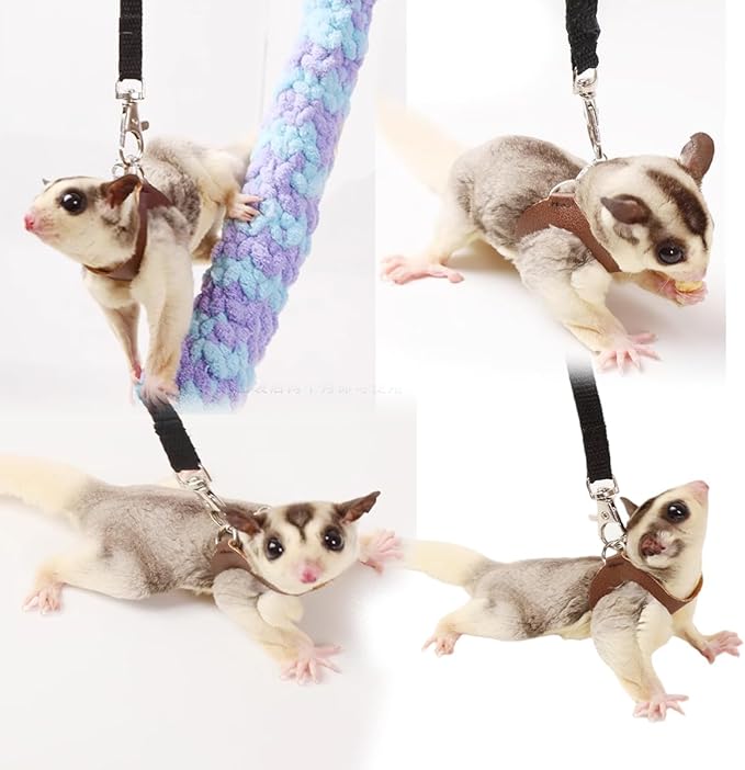 MANON ROSA Sugar Glider Harness & Leash Set - Escape-Proof 3-Piece Adjustable Vest for Squirrels Rats Mice Mouse & Small Animals - Hamster Gerbil Walking Gear, Pet Toy Accessories, Brown