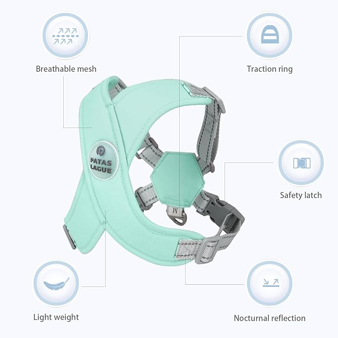 Patas Lague Dog Harness with Leash Set Adjustable Soft Padded Step-in Dog Vest No Choke No Pull Reflective for Small Medium Pets with Poop Bags and Dispenser, Solid and No-chew, Green M
