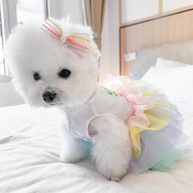 Dog Easter Outfit with My 1st Easter Embroidery Letters Holiday Puppy Dress Rainbow Small Dog Tutu Cat Apparel Fancy Pet Clothes for Chihuahua Yorkie Pomeranian Poodle (Colorful, Large)