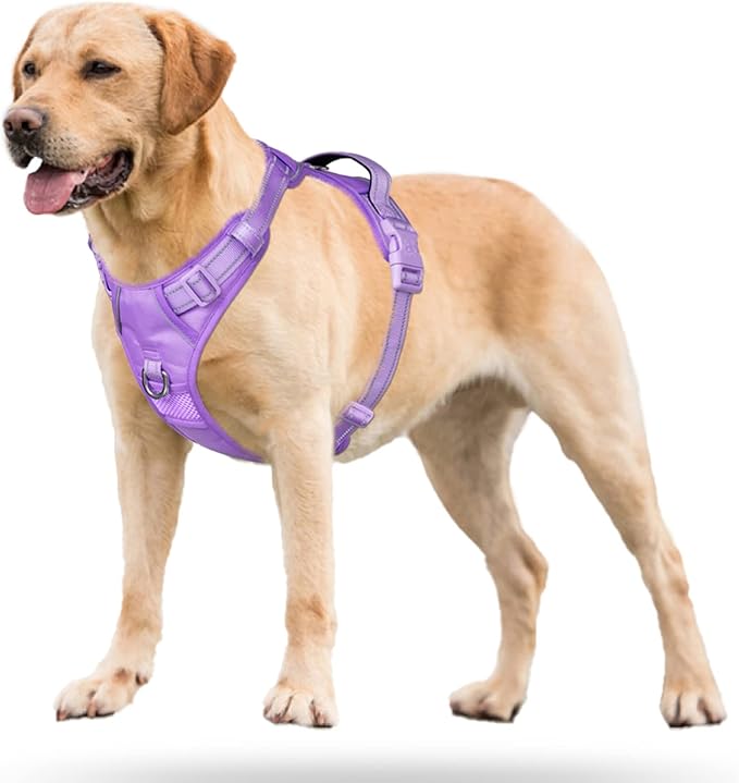 PoyPet No Pull Dog Harness, No Choke Reflective Dog Vest, Adjustable Pet Harnesses with Easy Control Padded Handle for Small Medium Large Dogs(Light Purple Matching Trim,XL)