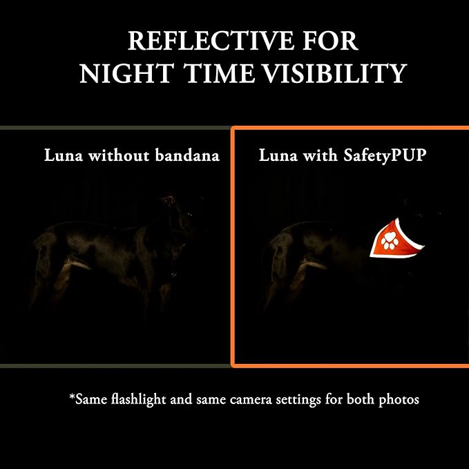 Orange Dog Bandana. Hi-Visibility Reflective, Blaze Orange Bandana for Large and Small Pets. Safety Accessories for Walking, Camping, and Off Leash Exploration.