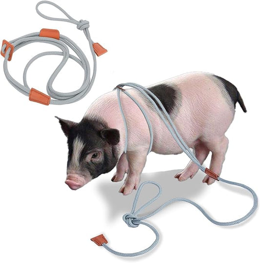 Pig Harness & Leash, Escape Prevention Adjustable Rope, All in One Design, All Life Stages Small to Medium Mini Pigs-5 Feet Long-Grey