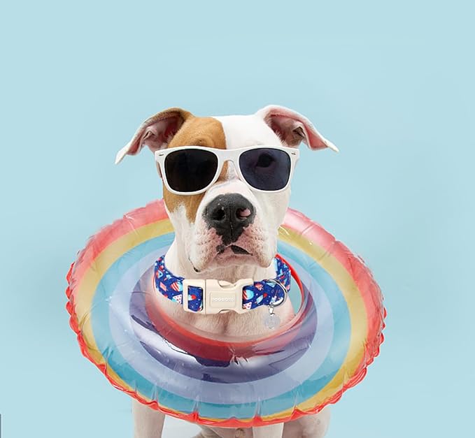 DOGWONG Cotton Dog Collar - Popsicle Summer Durable Soft Natural Fabric Pet Collar, Cute Blue Ice Cream Puppy Necklace for Small Medium Large Dogs