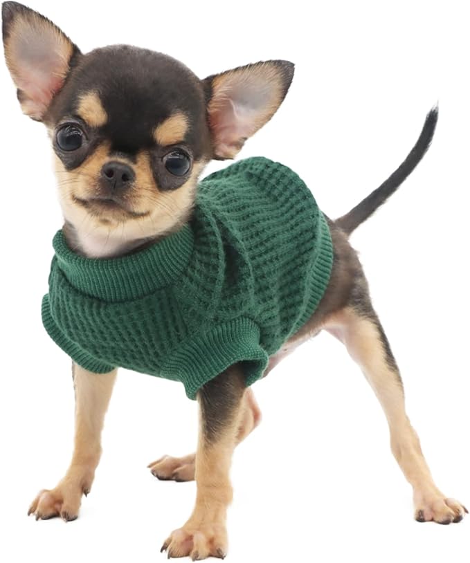 LOPHIPETS Lightweight Dog Sweaters for Puppy Small Dogs Puppy Chihuahua Yorkie Clothes-Atrovirens/XXS
