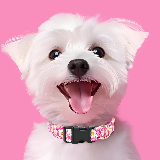 Tunkoo Pink Daisy Dog Collar, Cute Adjustable Premium Cotton Collar Durable Plastic Buckle for Small Medium Large Boys Girls Dogs, M