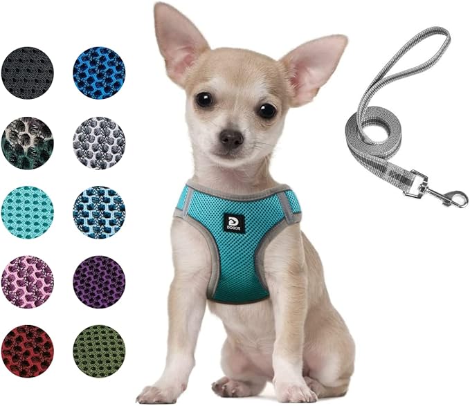 Dog and Cat Universal Harness with Leash - Cat Harness Escape Proof - Adjustable Reflective Step in Dog Harness for Small Dogs Medium Dogs - Soft Mesh Comfort Fit No Pull No Choke (XS, Lake Blue)