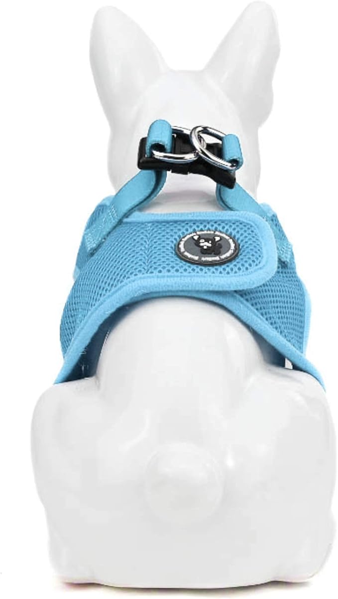 EcoBark Step in Dog Harness Small Blue Fully Adjustable Double Padded Step in Dog Harnesses (Small, Sky Blue)