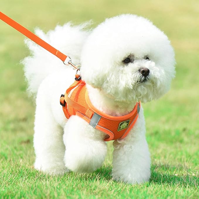 leconpet Step in Dog Harness, Vest Harness and Leash Set for Small Medium Dogs, Puppy Harness, Mesh Reflective Dog Harness Vest (Orange, XL)