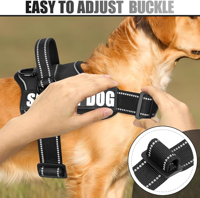 Dog Vest Harness and Leash Set, Animire Reflective Service Dog Vest with 10 Patches, 3 Rings No Choke Pet Vest for Leash Placement, in Training Dog Harness for Small Medium Large Dogs(Black,XL)