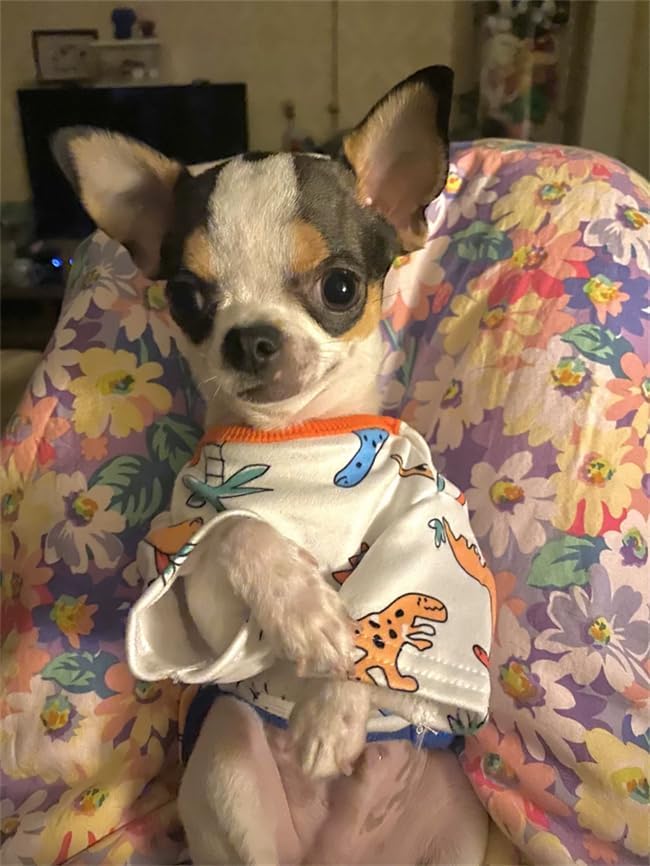 Dog Clothes Puppy Cute Dinosaur Shirt Pet Cotton Shirt Dog Vest Cat Clothes Dogs Boy Girl T Shirts for Small Dog Cat Teacup Chihuahua Yorkie (Dino Shirt, X-Large)