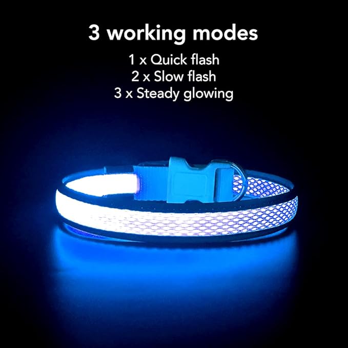 YFbrite Light up Dog Collar, USB Rechargeable LED Puppy Collar Super Bright Adjustable Glowing Dog Lights for Night Walking (Blue, Small)