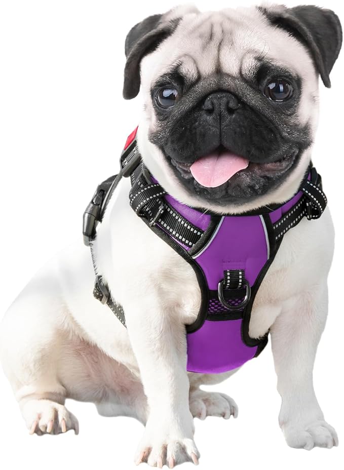 PHOEPET No Pull Dog Harness Medium Reflective Front Clip Vest with Handle,Adjustable 2 Metal Rings 3 Buckles,[Easy to Put on & Take Off](M, Purple)