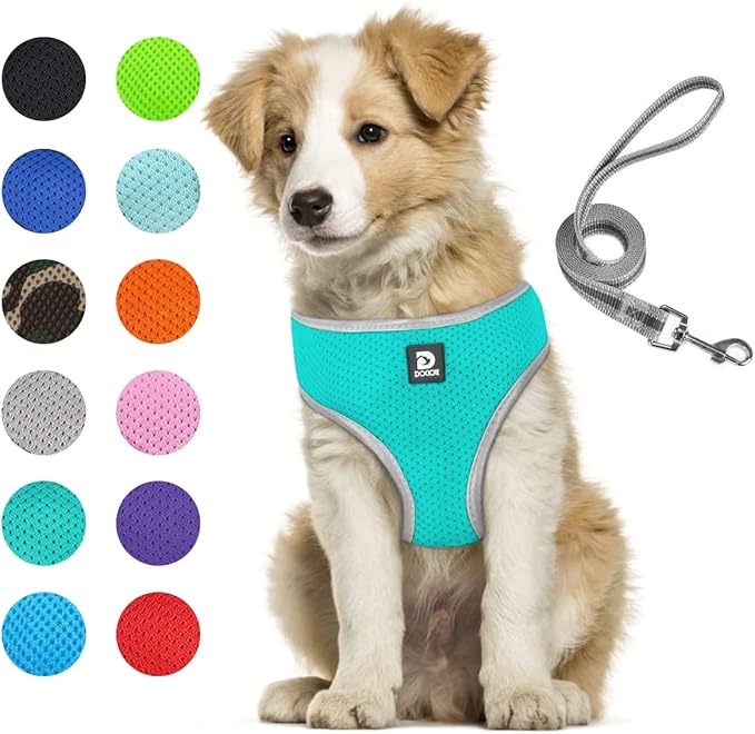 Dog Harness and Leash Set- Adjustable Reflective Step in Harness for Small Dogs Medium Size Dogs- No Pull No Choke Soft Mesh Comfort Dog Vest Harness (L, Lake Blue)