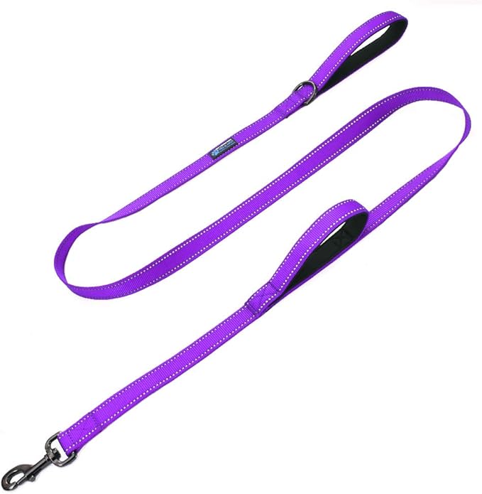 Max and Neo Double Handle Traffic Dog Leash - Reflective, Donates to Dog Rescue (Purple, 6 FT)