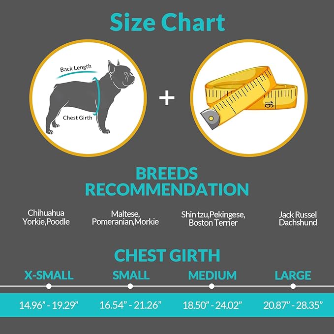 Queenmore Small Dog Life Jacket XXS, Puppy Life Jackets for Small Dogs, Little Dog Life Vest for Swimming/Boating, Cat Life Jacket/Life Vest, Lightweight Shark Pet Water Vest with Handle/Leash Hook