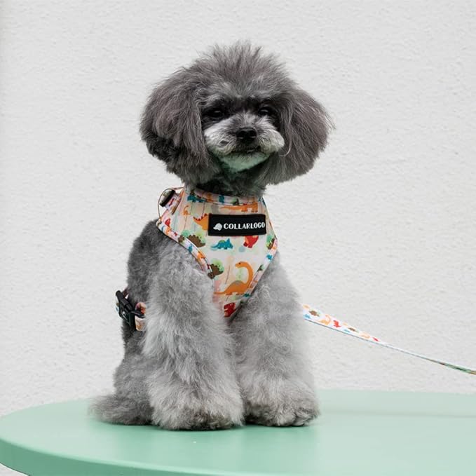 Dog Harness and Leash Set, Adjustable Dog Harness, Dog Leash, No Pull No Choke Puppy Harnesses for Walking Training for Small, Medium, Large Pet