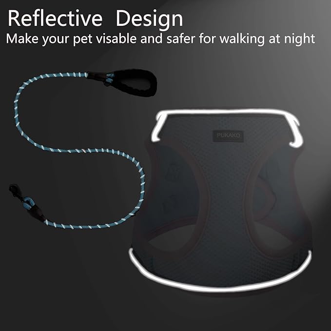 Dog Harness for Small Dogs No Pull, Puppy Harness and Leash Set, Easy Walk Dog Harness for Walking, Blue& Pink， XXS