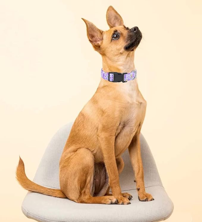Dog Collar, Adjustable Dog Collar for Small Medium Large Dogs, Cute Puppy Collar for Boy and Girl Dogs, Cute Design for Boys Girls Male Female Dog Pet Collar(Purple Floral,XS)