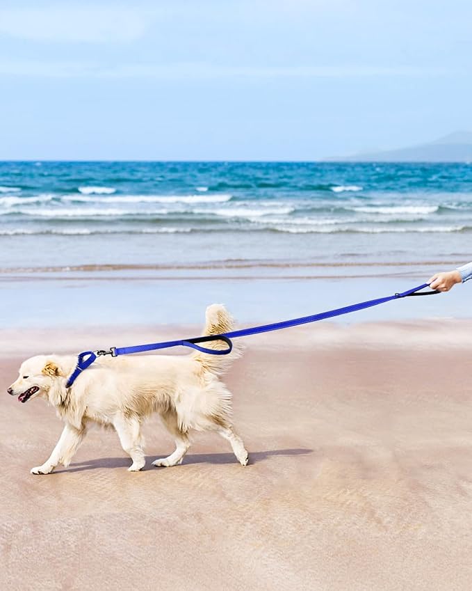 FunTags Reflective Martingale Collar for Dogs, Quick Release Buckle, 5FT Double Handle Dog Leash Padded, Dog Collar and Leash Set, Adjustable for Puppy Dogs (Navy Blue, XS)