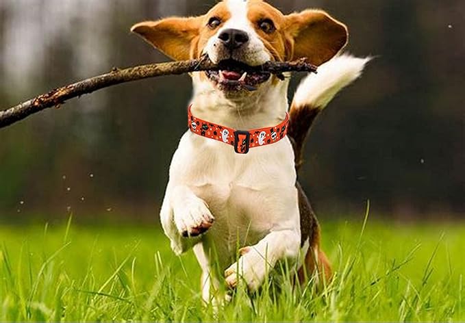 Halloween Dog Collar - Pumpkin Bat Ghost Pattern - Adjustable for Small Medium Large Dogs(Halloween,M)