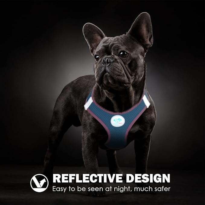 PHOEPET Step-in Dog Harness,Reflective Adjustable Dog Vest Harness, Soft Pet Walking Jacket with 2 Metal Leash Hooks for Dog and Cat(Baby Blue Base & Pink Straps,XS)