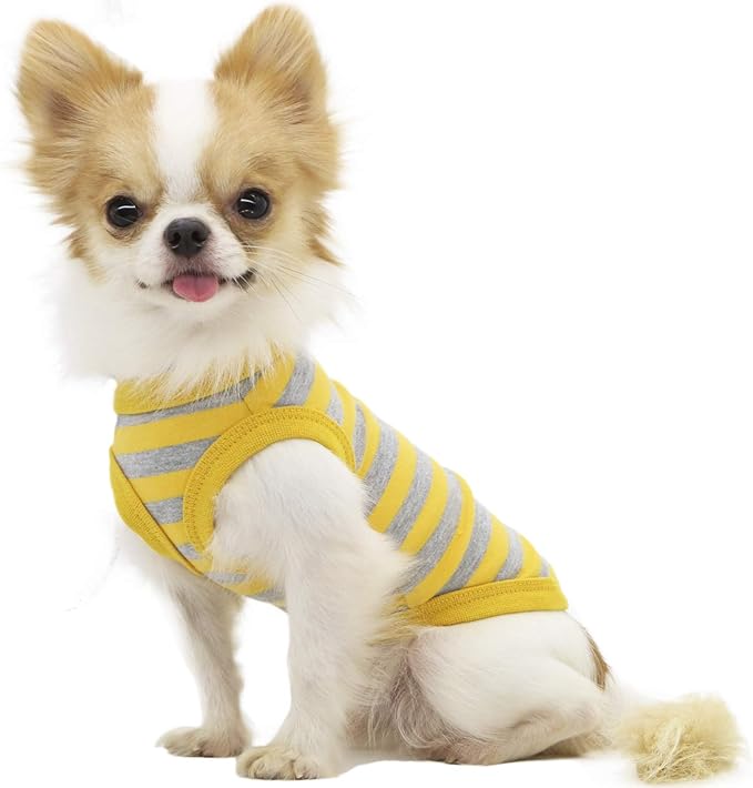 LOPHIPETS 100% Cotton Striped Dog Shirts for Small Dogs Chihuahua Puppy Clothes Tank Vest-Yellow and Gray Strips/XL