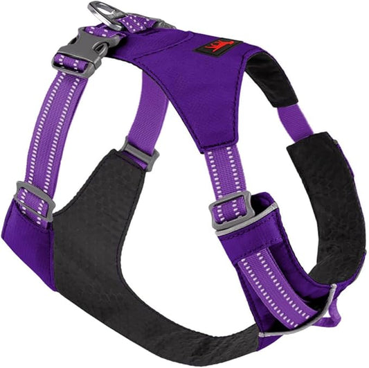 Tuff Pupper Lightweight Dog Harness for Walking | Front & Back Leash Clips | 4-Way Adjustable Fit | Reflective Trim | Easy On/Off Buckles | Lightweight & Breathable | No Pull Design (XXXS, Purple)