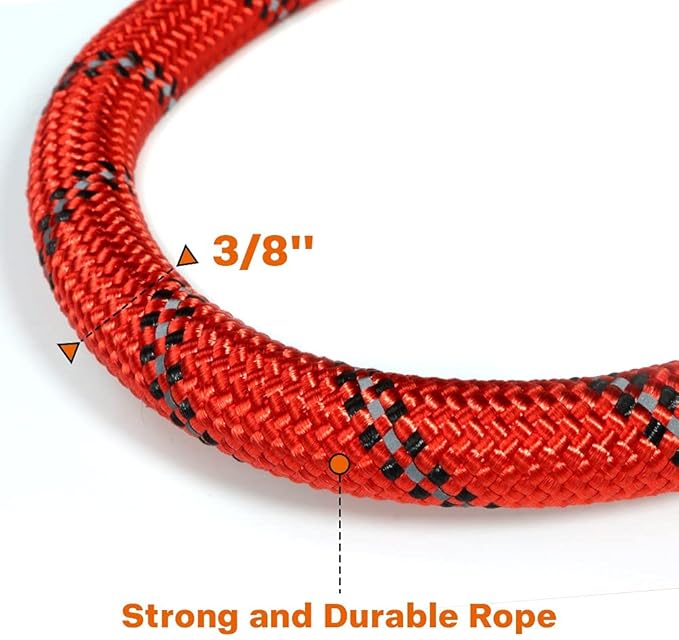 Taglory Rope Dog Leash 5 FT with Comfortable Padded Handle, Highly Reflective Threads Leash for Small Dogs, 3/8 inch, Red