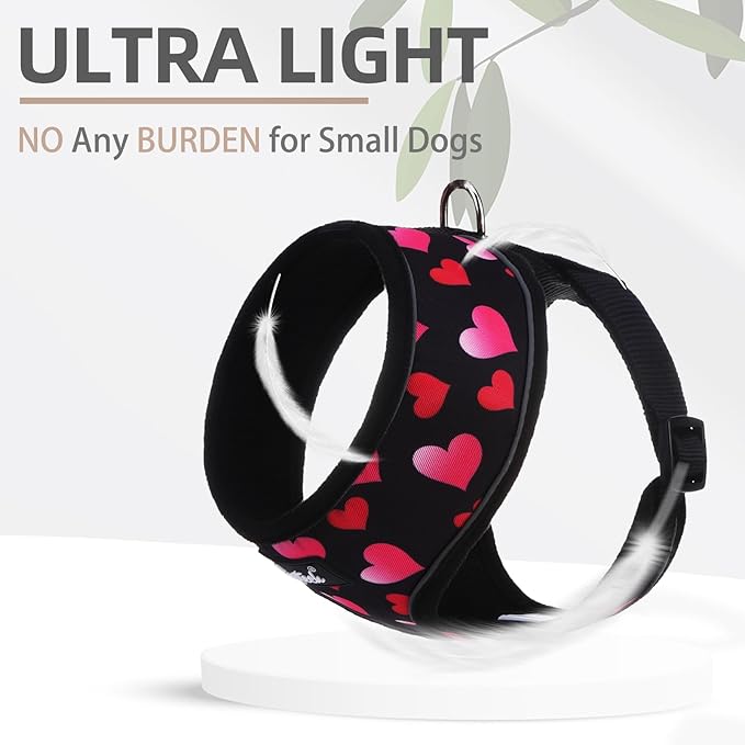 PUPTECK Soft Mesh Dog Harness and Leash Set Pet Puppy Cat Comfort Padded Vest No Pull Harnesses Valentine, Black&Pink, M