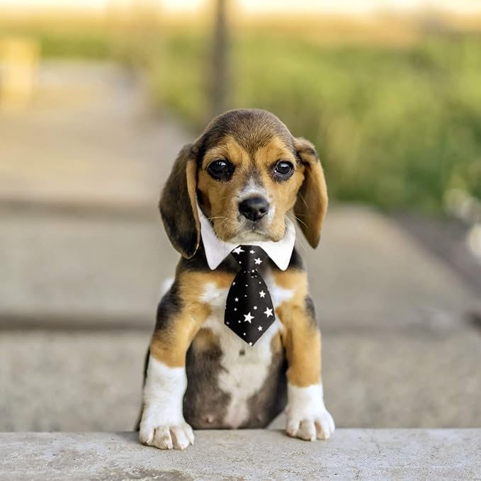 Segarty Dog Necktie, 6 PCS Pets Dog Cat Classic Neck Tie Dog Tuxedo Bow Tie Collar with Black Red Pink Striped Tie, Dog Costumes Bowties for Small Medium Male Boy Dogs Wedding Valentines Suit Groom