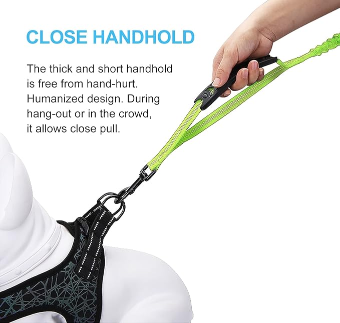 6FT Highly Reflective Heavy Duty Elastic Bungee Medium and Large Dog Leash Shock Absorbing with Comfortable Padded Handle and Traffic Handle Suitable for Training Green