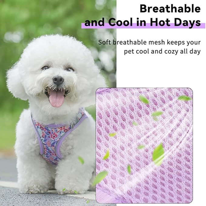 Step in Dog Harness and Leash Set, Flower Adjustable Easy Walk Puppy Harnesses, Soft Mesh Pet Vest Harness Small Size Adjustable No Pull Dog Harness for Small Medium Dogs(Pink, S)