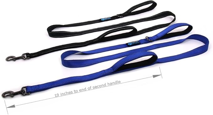 Max and Neo™ Double Handle Traffic Dog Leash Reflective - We Donate a Leash to a Dog Rescue for Every Leash Sold (Blue)