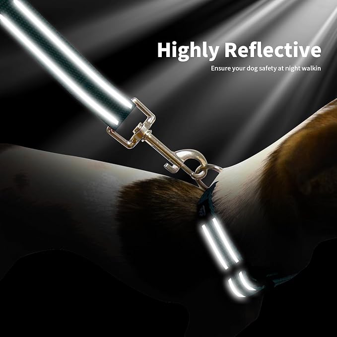 NESTROAD Reflective Dog Collar and Leash Set,Soft Neoprene Pet Collar with Quick Release Buckle,Adjustable Nylon Dog Collars for Small Medium Large Dogs(Small Collar + 5FT Leash,Teal)