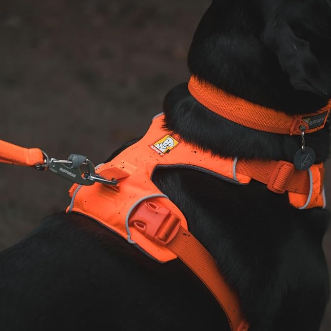Ruffwear, Front Range Dog Harness, Reflective Soft Padded Everyday Harness with Dual Leash Clips, Adjustable and Lightweight Fit for Training or Walking for All Dogs, Blaze Orange, Medium