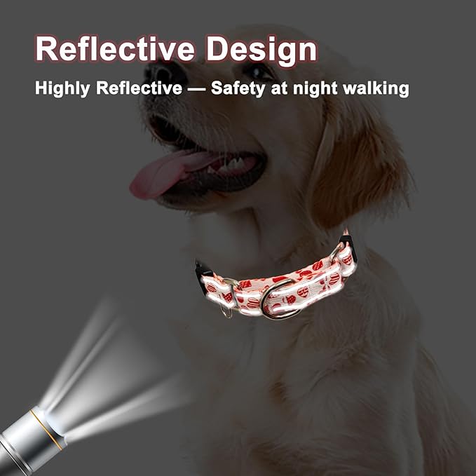 Valentines Reflective Martingale Collar for Dogs with Quick Release Buckle Cute Girl No Pull Dog Collars (Red Heart, Medium)