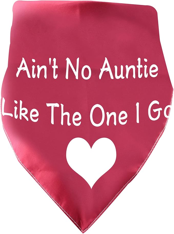 PXTIDY Ain't No Auntie Like The One I Got Dog Bandana Dog Aunt Reversible Triangle Bibs Pet Scarf Pet Bandanas for Dogs (Ain't No Auntie)