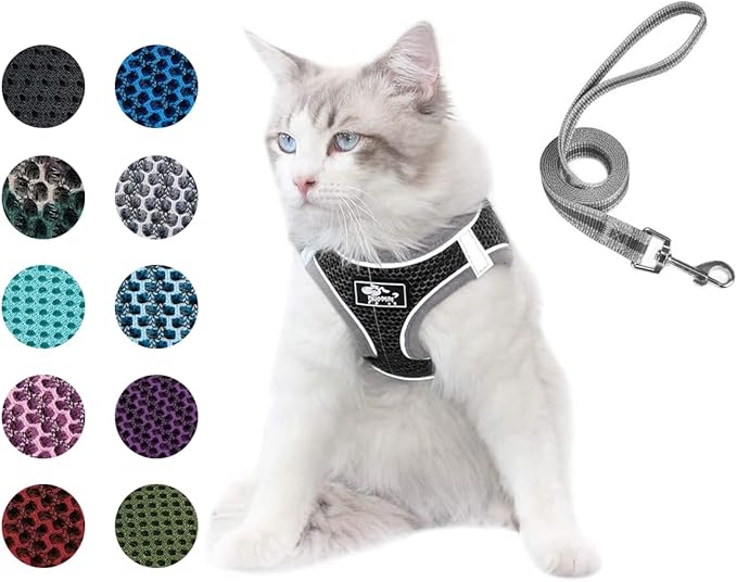 Dog and Cat Universal Harness with Leash - Cat Harness Escape Proof - Adjustable Reflective Step in Dog Harness for Small Dogs Medium Dogs - Soft Mesh Comfort Fit No Pull No Choke, Black, L