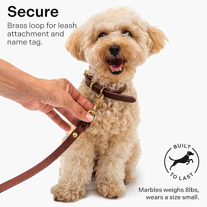 Scout Supply Classic Leather Dog Collar | Heavy Duty Thick Full Grain Leather | Waterproof & Rust-Proof Brass Hardware (Dark Brown, Extra Large)