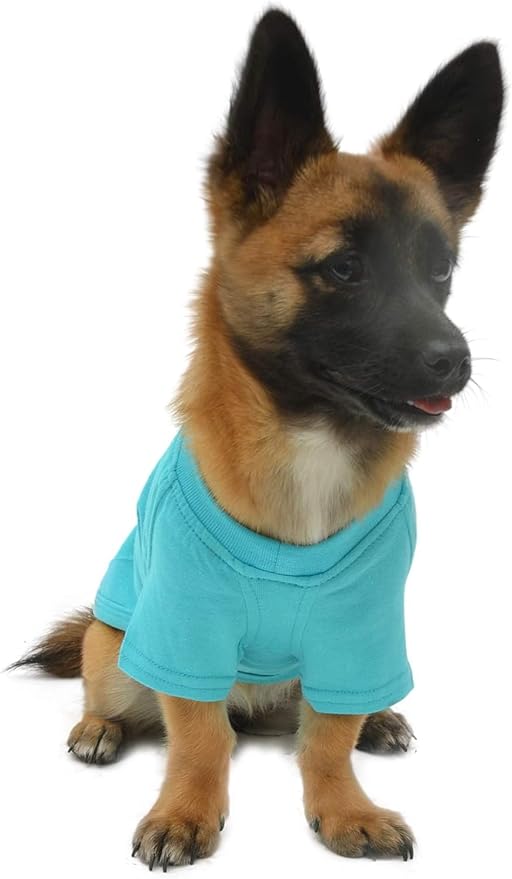 Lovelonglong Pet Clothing Dog Costumes Dachshund Clothes Blank T-Shirt Tee Shirts for Dachshund Dogs,Corgi 100% Cotton Turquoise D-L