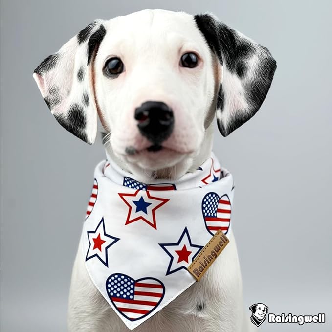 4th of July Dog Bandanas 2 Pack, 4 Pattern Reversible Holiday Bandana for Boy and Girl, Premium Durable Fabric, Summer Triangle Scarf for Small to Medium Breed Dogs (Small)