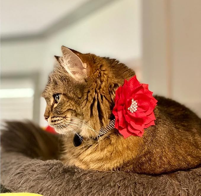 Rhinestone Dog Collar, Cute Dazzling Sparkling Soft Suede Leather Dog Cat Rhinestone Collar Crystal Diamond Pet Dog Puppy Collar (Red5, XS)