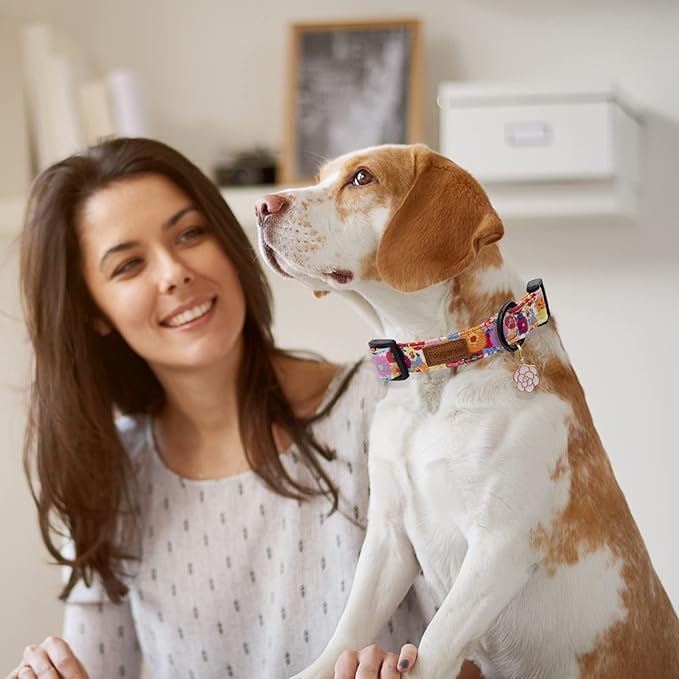 Faygarsle Floral Dog Collar for Girls and Female Dogs Soft and Fancy Pet Collar with Flower Design Ideal Pink Dog Collar for Small Medium Large Dogs S