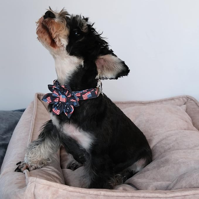 American Flag Dog Collar with Flower, 4th of July Comfortable Cotton Cute Dog Collar with Metal Buckle, Patriotic Flower Collar for Puppy Girl Boy Dog, XL