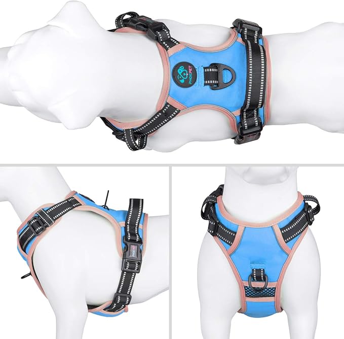 PHOEPET 2019 No Pull Dog Harness Medium Reflective Front Clip Vest with Handle,Adjustable 2 Metal Rings 3 Buckles,[Easy to Put on & Take Off](M, Blue)
