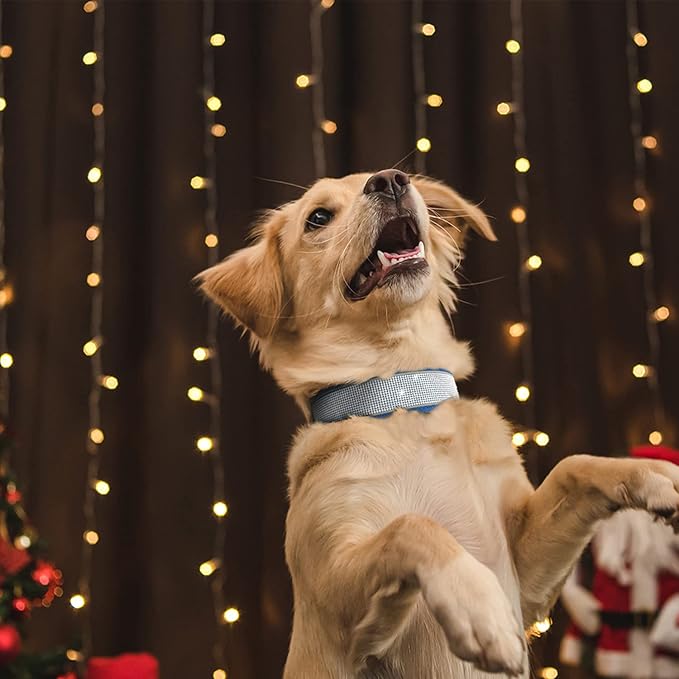 Bling Rhinestone Dog Collar Soft Comfortable Stylish Dog Collar with Bright Reflective Stripe Premium Adjustable Diamond Crystal Pet Collar for Small Medium and Large Dogs (M, Blue)